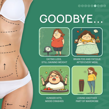 Selerb Berberine + Green Tea + B12 Complex - Gentle Plant-Based Formula with Chromium - 60 Capsules