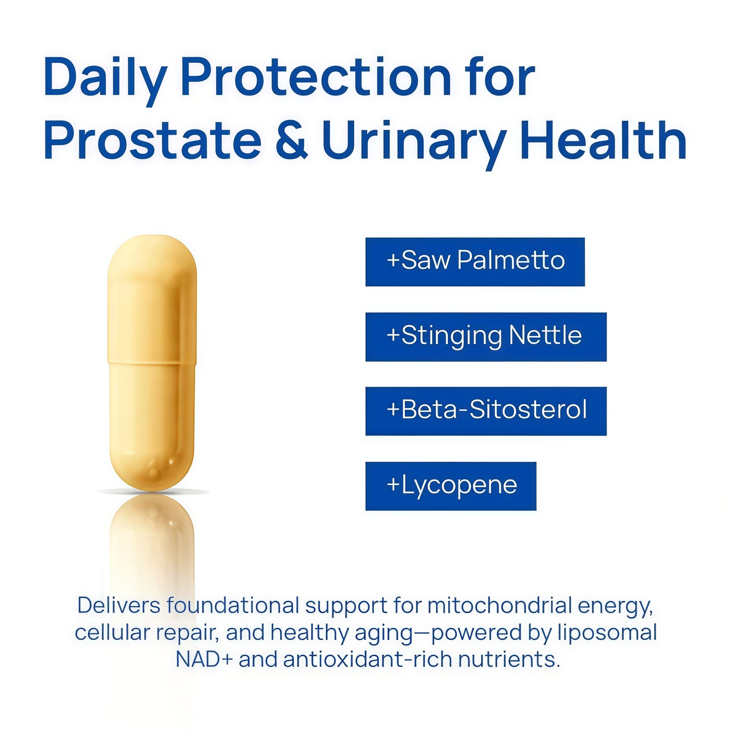 Selerb NAD+ Supplements for Men – Nitric Oxide Prostate Health Supplements for Men with Resveratrol, CoQ10, L Citrulline and Lycopene for Anti-Aging, Stamina & Cellular Energy Support 60 Capsules